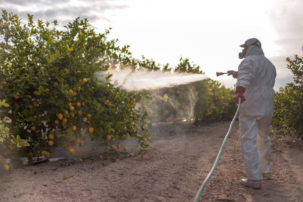 Best Best Pest Control Companies  in Marshville, NC