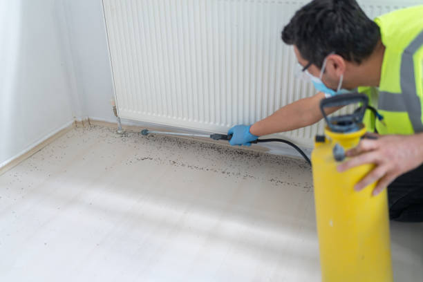 Trusted Marshville, NC Pest Control Experts